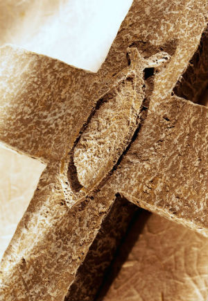 The fish enjoys Scriptural prominence too. Several apostles were fishermen, called to be 'fishers of men'.