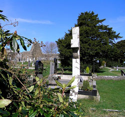 Image of St. Finian Lobhar